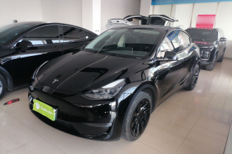 特斯拉 Model Y 2021款 标准续航后驱版