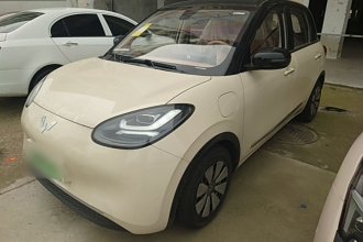 五菱汽车 五菱缤果 2025款 333km 悦享款