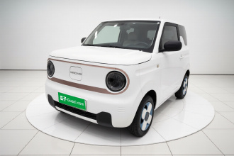 吉利银河 2024款 熊猫mini 200km 耐力熊