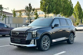 广汽传祺 传祺GS8 2022款 双擎系列 2.0TM 两驱尊贵版 （六座）