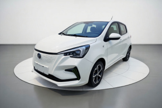 长安 奔奔E-Star 2020款 心悦版 磷酸铁锂（31.18kWh）