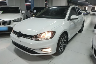 大众 高尔夫 2019款 280TSI DSG豪华型 国V