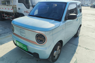 吉利银河 2024款 熊猫mini 200km 耐力熊