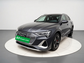 奥迪e-tron 2021款 50 quattro 臻选型