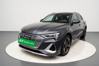 奥迪e-tron 2021款 50 quattro 臻选型