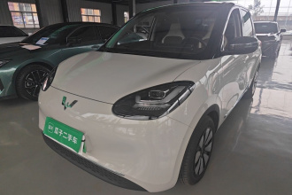 五菱汽车 五菱缤果 2024款 333km 悦享款