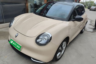 欧拉好猫 2021款 400km标准续航 维纳斯版 三元锂