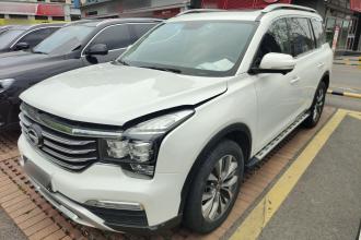 广汽传祺 传祺GS8 2017款 320T 两驱豪华智联版（七座）