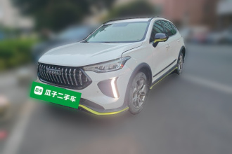 哈弗赤兔 2022款 劲享版 1.5T 紫铜兔