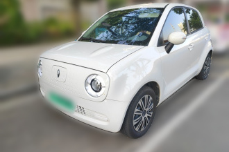 欧拉黑猫 2021款 301km 基础型