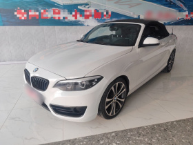 宝马2系(进口) 2019款 225i 敞篷轿跑车 运动设计套装