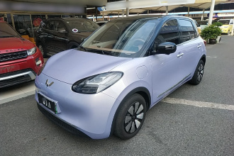 五菱汽车 五菱缤果 2025款 333km 灵犀尊享款