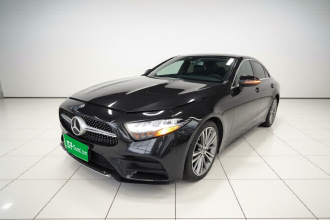 奔驰CLS 2020款 CLS 300 动感型
