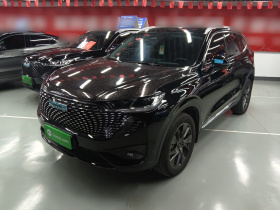 哈弗H6新能源 2023款 DHT-PHEV 110KM 悦行版