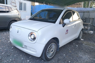 欧拉黑猫 2021款 301km 萌宠版