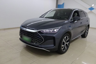 比亚迪 唐新能源 2025款 DM-i 115KM 尊荣型