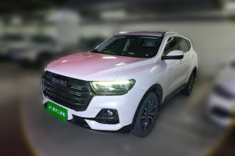 哈弗H6 2021款 国潮版 1.5T 自动都市版