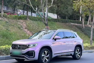 大众 探岳GTE插电混动 2020款 1.4T 尊贵型