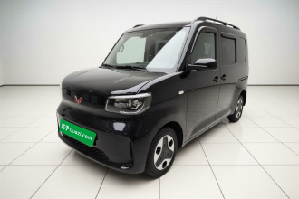 五菱汽车 五菱之光新能源 2025款 305km 进取型