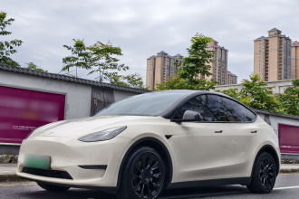 特斯拉 Model Y 2021款 长续航全轮驱动版
