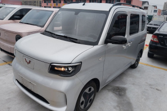 五菱汽车 五菱之光新能源 2025款 305km 进取型