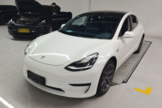 特斯拉 Model 3 2020款 标准续航后驱升级版