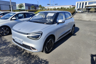 东风纳米 纳米01 2024款 330 Air