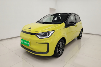 思皓 花仙子 2021款 302km 豪华型 30.2kWh
