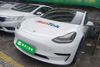 特斯拉 Model 3 2020款 标准续航后驱升级版