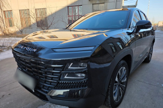 捷途大圣 2022款 1.6T DCT王者PLUS