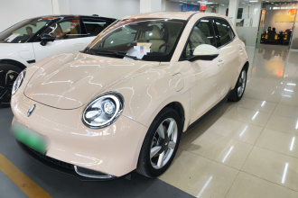 欧拉好猫 2021款 400km标准续航 维纳斯版 三元锂