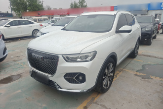 哈弗H6 2021款 1.5T 自动冠军版