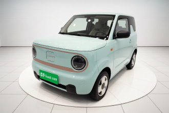吉利银河 2024款 熊猫mini 200km 耐力熊