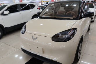 五菱汽车 五菱缤果 2025款 333km 灵犀尊享款
