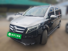 奔驰V级 2021款 V 260 尊贵版