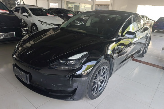 特斯拉 Model 3 2021款 标准续航后驱升级版