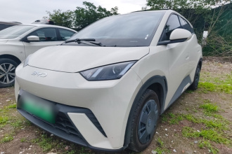 比亚迪 海鸥 2024款 荣耀版 305km 活力版