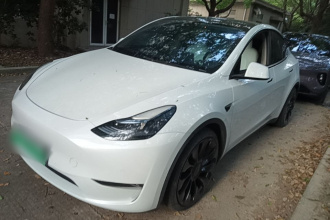 特斯拉 Model Y 2022款 Performance高性能全轮驱动版
