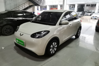 五菱汽车 五菱缤果 2024款 333km 悦享款