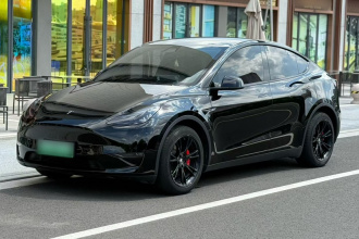 特斯拉 Model Y 2021款 标准续航后驱版
