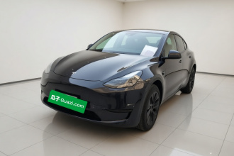 特斯拉 Model Y 2024款 后轮驱动版