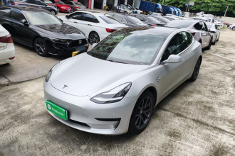 特斯拉 Model 3 2020款 改款 标准续航后驱升级版