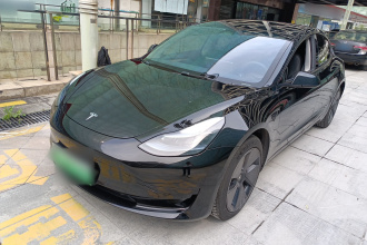 特斯拉 Model 3 2022款 后轮驱动版