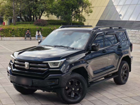 坦克400新能源 2024款 Hi4-T 越野版