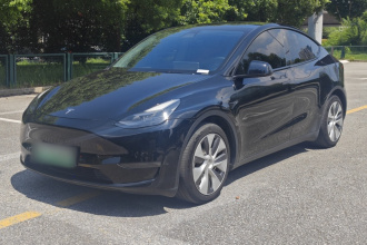 特斯拉 Model Y 2021款 标准续航后驱版