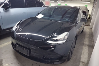 特斯拉 Model 3 2020款 标准续航后驱升级版