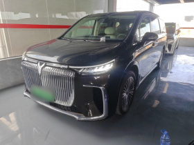 岚图汽车 岚图梦想家 2025款 PHEV 四驱旗舰鲲鹏版