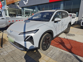 五菱汽车 五菱星光S 2024款 130km 旗舰型