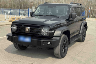 坦克300 2024款 2.0T 征服者