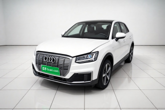 奥迪Q2L e-tron 2019款 Q2L e-tron 纯电智酷型